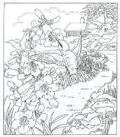 A coloring page of nature in the backyard